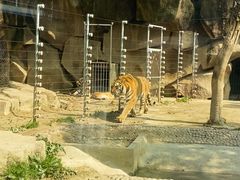 -荆州中山公园动物园