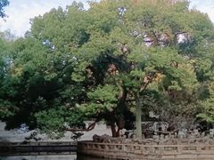 -西园戒幢律寺