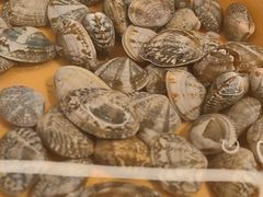 -龍歌自助小火锅(城阳万象汇店)