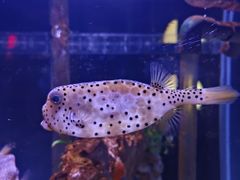 -太平洋海底世界