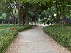 -泰丰公园