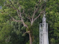 -乌鲁淡布隆国家公园