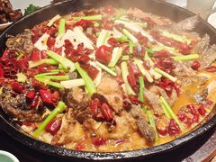 -老板恋上鱼(高新万达店)