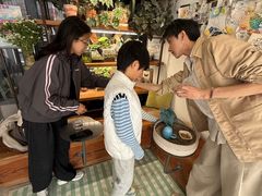-吉丁鸟咖·异宠·寄养