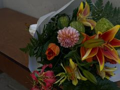 -溪岸路花鸟市场