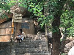 -嵖岈山风景区
