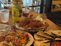 -萨尔瓦多Salvador's