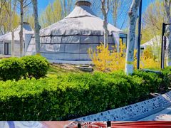 -九十九顶毡房(阜石路店)