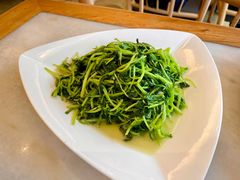 鸡毛菜-华盛丰温州大排档(东三环南路店)