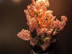 -番茄按摩·影院足道·柔足SPA