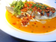 -坛宗剁椒鱼头(河西王府井店)