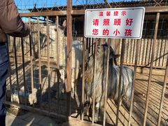 -河北村民俗体验园