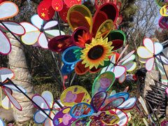 -狼山风景名胜区