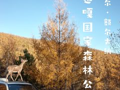 -莫尔道嘎国家森林公园
