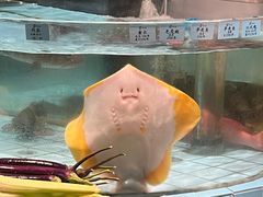-荣小馆(安达仕店)
