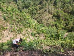 -西双版纳基诺山寨