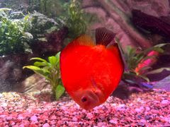 -上海海洋水族馆