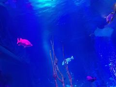 -沈阳海洋探索中心