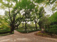 -汇龙潭