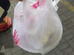 -邵年鸽(杨庄店)
