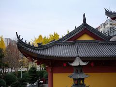 -上海东林寺(金山区)