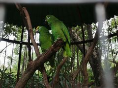 -深圳野生动物园