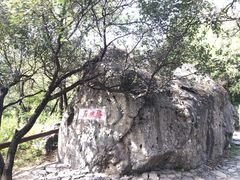 -阳台山自然风景区