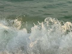 -玫瑰海岸文化旅游度假区
