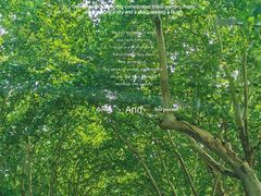 -WeLope紫金山探险公园