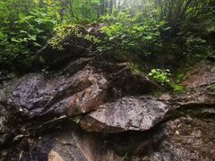 -终南山国家森林公园