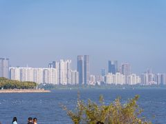 -深圳湾公园(南山区)