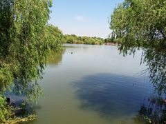 -长兴太湖图影湿地文化园