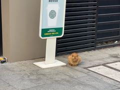 -星巴克(西藏路店)