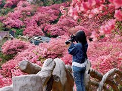 -木兰云雾山