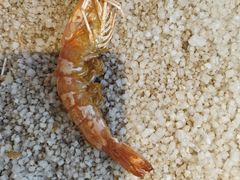 -沿江海南菜·文昌鸡祖师爷(大东海店)