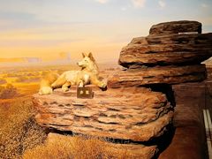 -陕西自然博物馆