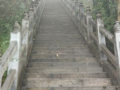 -塔云山