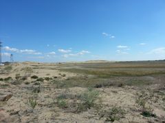 -亿利库布其七星湖沙漠生态旅游区