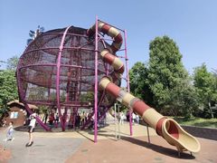 -枫香湖儿童公园