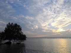 -宝安西湾红树林湿地公园