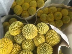 -循礼门鲜花花市(武汉循礼门店)