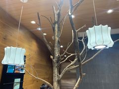 -茶颜悦色(岳麓山顶店)