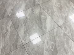 -德元·美联众合24小时动物医院(总院)
