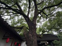 -上海醉白池公园