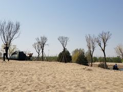 -东郊湿地公园