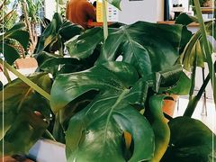 -West10 西拾·西餐厅·创意菜(未来科技城店)