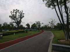 -上海长兴岛郊野公园