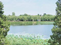 -素心小筑(后沙裕镇店)
