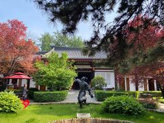 -大唐博相府酒店·陕西官府菜