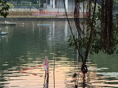 -荔湾湖公园